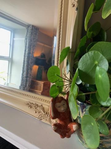 Villa Dolgellau Townhouse 2 Minutes To Town & Mountains Esterno foto