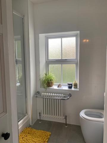 Villa Dolgellau Townhouse 2 Minutes To Town & Mountains Esterno foto